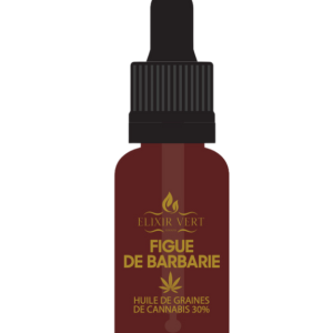 FIGUE DE BARBARIE