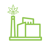 Cannabis Transformation and Industrialization